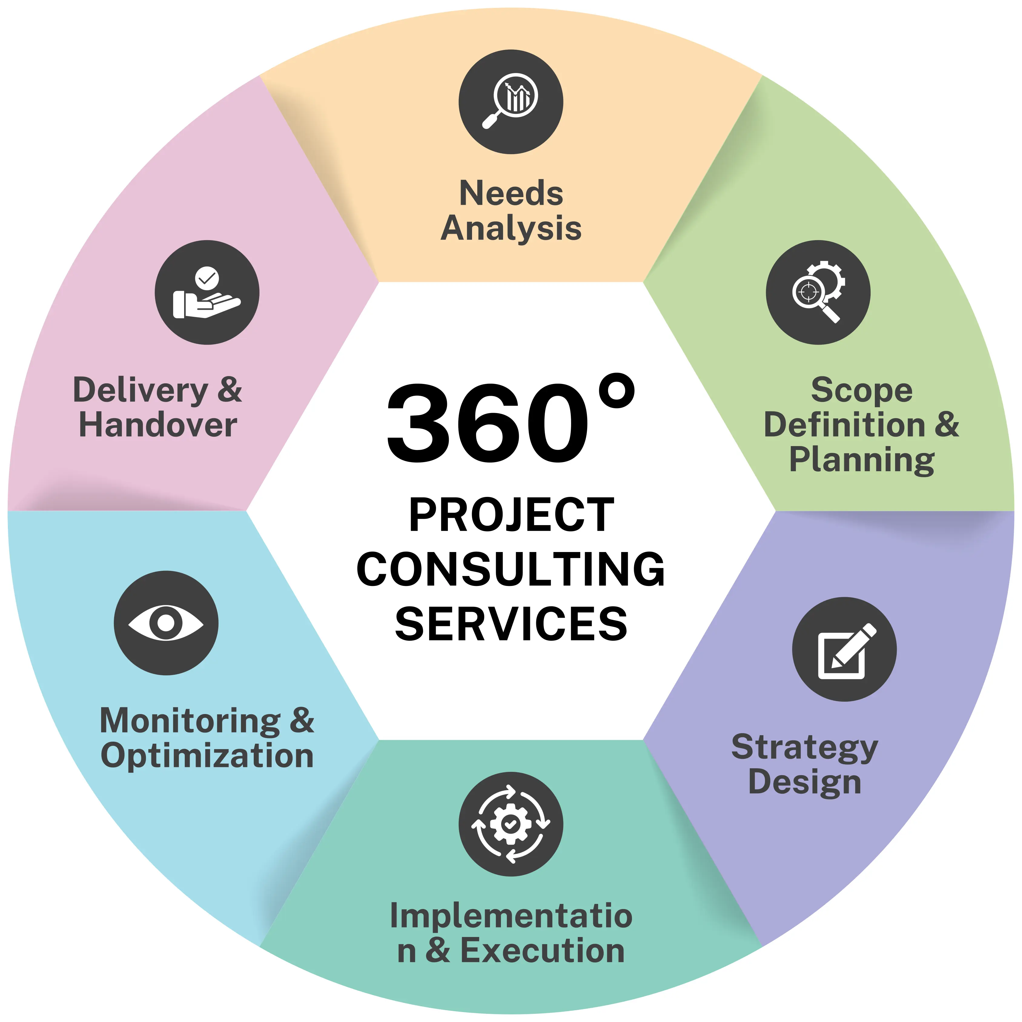 Project Consulting support